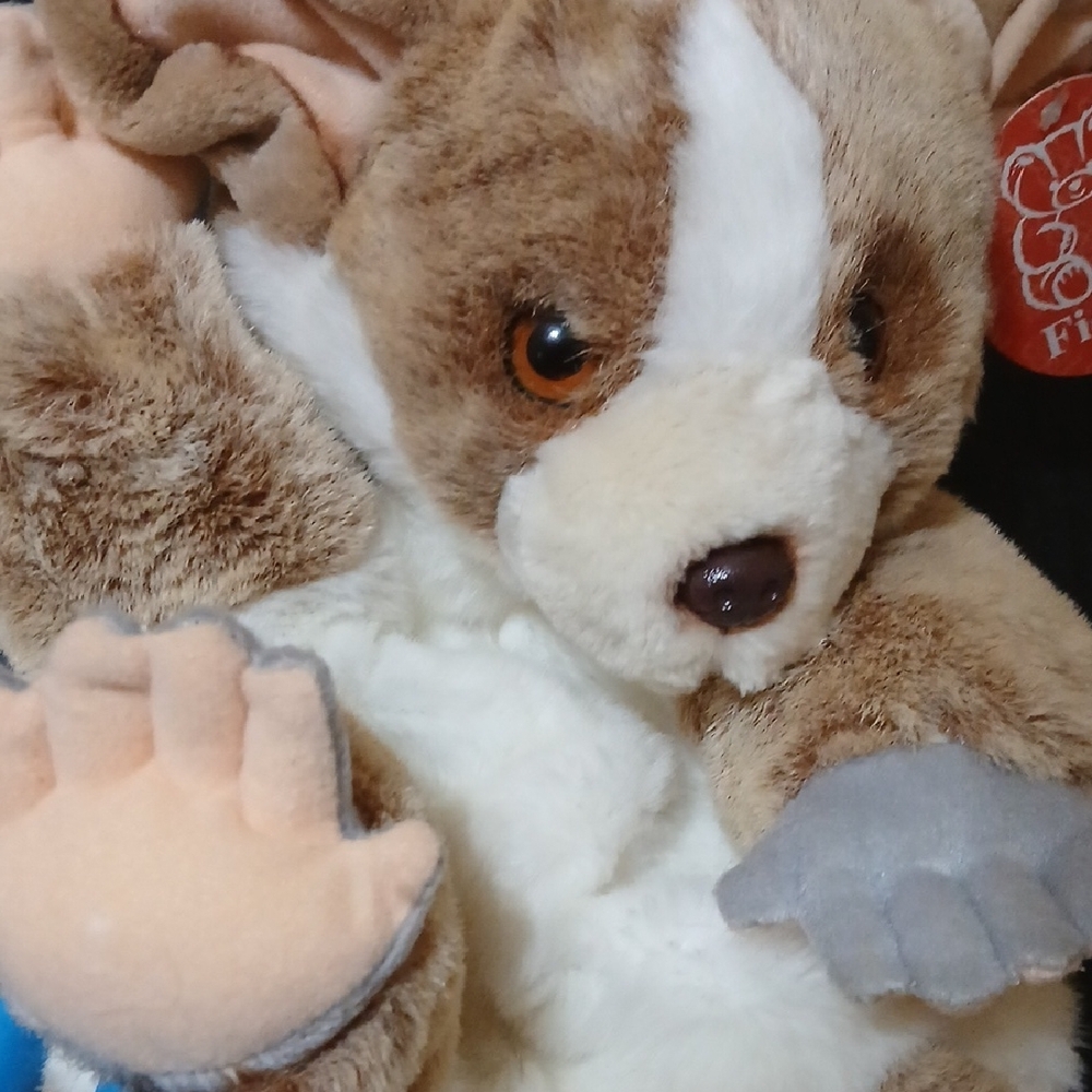 The Backpack BushBaby By Fiesta Toy- Real Cute & Ultra Soft Mwmt 2007 New W/Tags - Picture 10 of 12